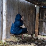 27_RURART Prin.2019_DDavis