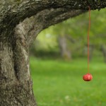 Automne_RURART2018_installation_VPitre_créditAMarsanLR