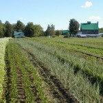 La Généreuse – Chalets0011