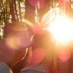 rurart.mathieulippe.soleil