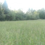 rurart.parcours.artistique.nature