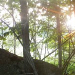 rurart.rocher.mouvement.creation