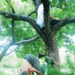 rurart.pommier.artistes.