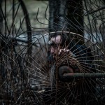 P_2018_LR, David Coquart, personnage, crédits photo Martin