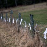 P_2018_LR, Erika Boudreau-Barbee, installation, crédits photo Martin