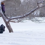 RURART Hiver 2018, Nadia Cicurel, conte, pommier, photo Maryline BlaisLR