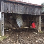 RURART Prin.2019 DeborahDavis