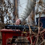 RURART print.2019_CARocheleau