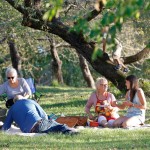 RURART_automne2017_picnic_famille_art