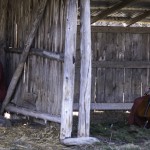 RURART – printemps 2013