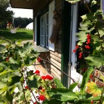 Rurart espaces-locaux (3)_LR