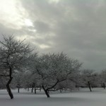 Rurart espaces-locaux hiver 2013  (6)_LR