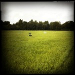 installation en milieu rural