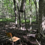 RURART – ÉTÉ 2013