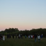 RURART – ÉTÉ 2013