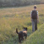 RURART – ÉTÉ 2013