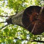 RURART – ÉTÉ 2013