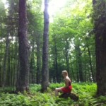 art contemporain en fôret