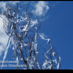 MartinLOstachowski_rurart_pluri